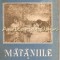 Mataniile. Castelana Din Shenstone I, II - Florence Barclay