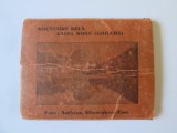 Rar! Lacul Roșu(Ghilcoș):Album souvenir 10 fotografii 82x66 mm de Ambrus anii 30, Alb-Negru, Romania 1900 - 1950, Natura