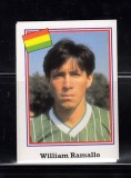 B10 - Sticker fotbal - Campionatul mondial USA - 1994 - nr 182