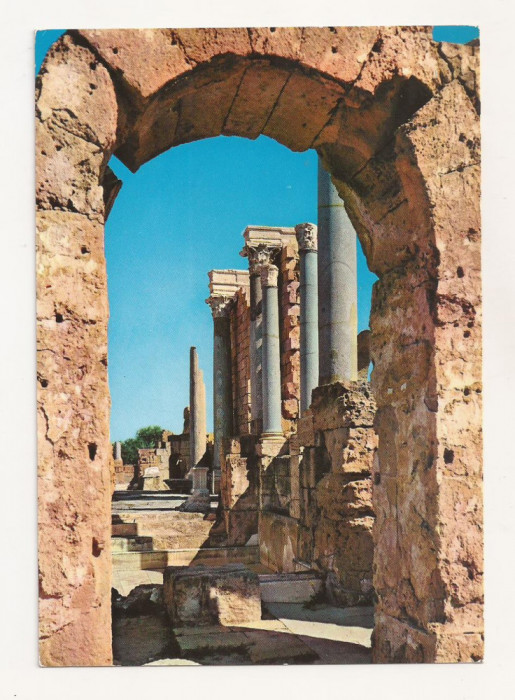 FA29-Carte Postala- LIBIA - Leptis Magna, necirculata