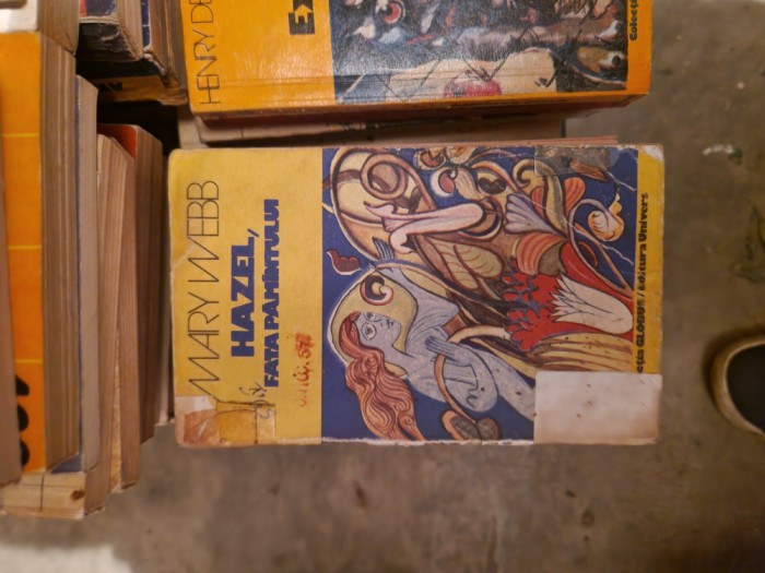 Hazul, fata păm&acirc;ntului vintage