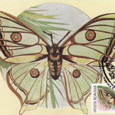 C3956 - Romania 1991 fluturi carte maxima