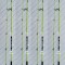 SET 4 Lansete WB fibra sticla plina 3 metri pentru pescuit la dunare 60-180gr