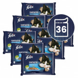 Cumpara ieftin FELIX Fantastic pliculețe cu somon și plătică &icirc;n gelatină 36 x 85 g