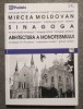 Mircea Moldovan - Sinagoga: arhitectură a monoteismului