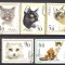 Poland 1964 Cats, used E.121