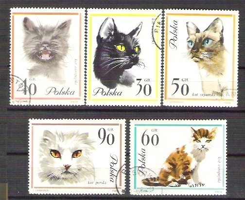 Poland 1964 Cats, used E.121