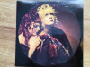 VOICE OF THE BEEHIVE - PERFECT PLACE ( PICTURE DISC 10&quot;,1991,UK) vinil vinyl