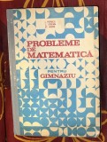 Probleme de Matematica pentru Gimnaziu - Ion Petrica, Stefan Alexe, Ed. Didactica si Pedagogica, 440 pagini