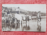 Fotografie tip carte postala, car cu boi cu 2 femei in port popular si un barbat, inceput de secol XX