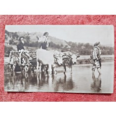 Fotografie tip carte postala, car cu boi cu 2 femei in port popular si un barbat, inceput de secol XX