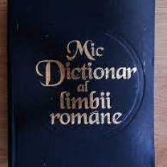 Mic dictionar al limbii romane - Vasile Breban