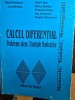 Calcul diferential Probleme alese Exemple ilustrative - Mihai Postolache