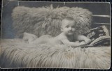 Fotografie tip Carte Postala, Bebelus nud, intins pa o blana, 1924