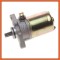 Electromotor scuter - compatibil CPI Trigger X - 2