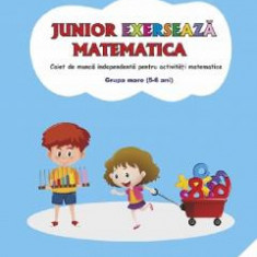 Junior exerseaza matematica. 5-6 ani. Grupa mare - Smaranda Maria Cioflica, Daniela Dosa