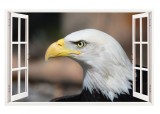 Sticker decorativ, Fereastra 3D, Vultur, 85 cm, 272STK, natura si peisaje
