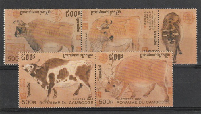 Fauna ,vaci ,Cambogia.