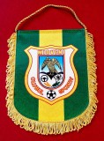Fanion fotbal - CS MIOVENI