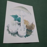 Cumpara ieftin CARTE POSTALA TIRAJ LIMITAT CIUPERCI NECIRCULATA