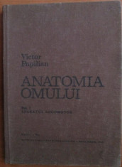 Anatomia omului (vol.1) - Aparatul locomotor - Victor Papilian foto