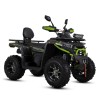 ATV Asix Challenger 250cc, roti 10 inch, 1+1 viteze, culoare negru/verde Cod Produs: MX_NEW A6CHALLENGERRR250A1-17