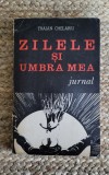 Traian Chelariu - Zilele si umbra mea