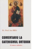 Comentariu la catehismul ortodox (12 sinteze catehice) - Pr prof Ion Bria