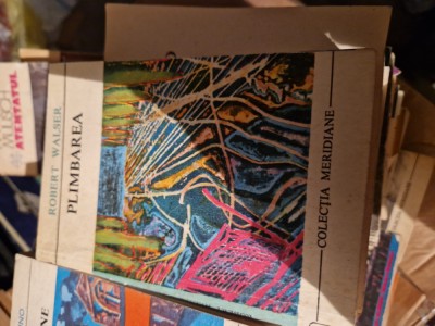 Plimbarea vintage foto