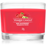 Yankee Candle Red Raspberry lum&acirc;nare votiv glass 37 g