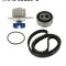 SKF VKMC 03110-1 Set pompa apa + curea dintata