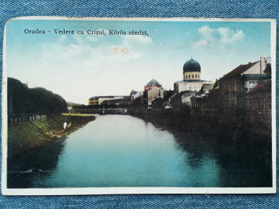 695 - Oradea - Vedere cu Crisul si Sinagoga / Nagyvarad foto
