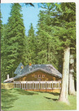 Carte Postala veche - Sinaia - Vila Furnica , necirculata