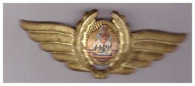 Insemn de coifura / cuc aviatie ofiter grad inferior RSR foto