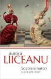 Soacre şi nurori. La cine este cheia? - Paperback brosat - Aurora Liiceanu - Polirom