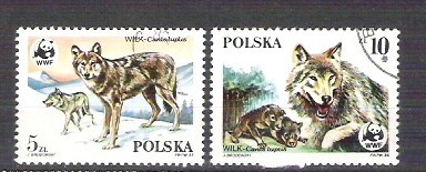 Poland 1985 Wild animals, wolfs, used A.55 foto