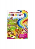 Marea carte de colorat (3-4 ani) - Paperback brosat - *** - Aramis