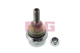 Pivot brat suspensie Nissan Interstar, Interstar Sasiu; Opel Movano A, Movano A Sasiu; Renault Master II, Master II Sasiu Motor 1.9 dCi 80, 1.9 dTI,