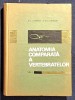 Anatomia comparata a vertebratelor Volumul 1 - G.T.Dornescu - O.C.Necrasov