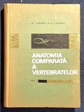 Anatomia comparata a vertebratelor Volumul 1 - G.T.Dornescu - O.C.Necrasov