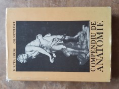 MIRCEA IFRIM - COMPENDIU DE ANATOMIE, 1988 foto