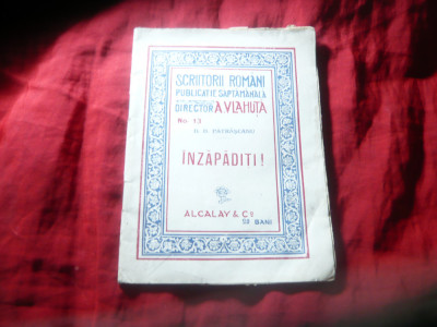 D.D.PATRASCANU - INZAPADITI !- inc. sec.XX, I editie Scriitorii Romani 13 foto