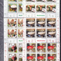 ROMANIA 2008 LP 1792 CIUPERCI BLOCURI DE 6 TIMBRE MNH