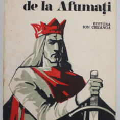 RADU DE LA AFUMATI , roman de EMANOIL MANOLIU , 1982 , PREZINTA PETE SI URME DE UZURA
