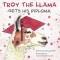 Troy the Llama Gets His Diploma
