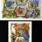 R.COASTA DE FILDES-PAPAGALI-1 M/Sh.+ 1 S/Sh. -MNH**-ICO 118