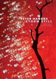 Storm Still | Peter Handke, 2020