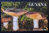 Ciuperci - Guyana 1991 - Coliță Poștală Russula integra (Ștampilată / CTO) CP1_II