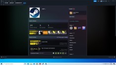 Cont Steam 19 ani, 26 games