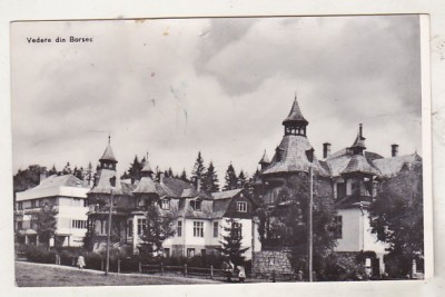 bnk cp Borsec - Vedere - circulata foto